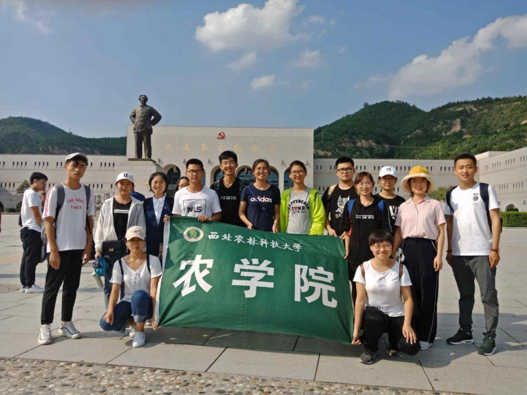 浓白鲫鱼汤的做法步骤图，浓白鲫鱼汤怎么做游戏画面